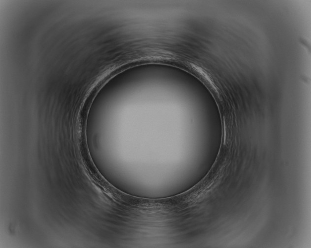 X0000091950435200709061043