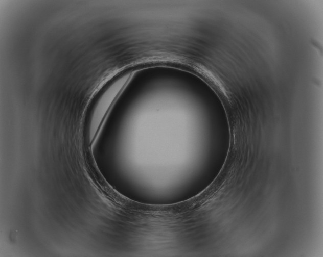 X0000091950436200709061043