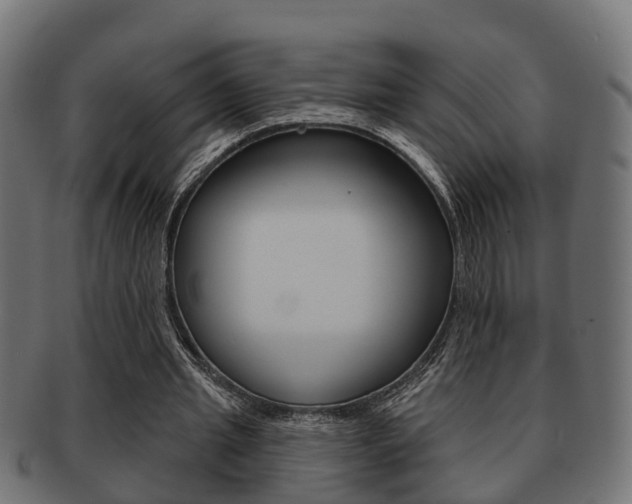 X0000091950437200709061043