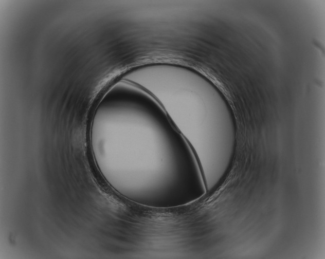 X0000091950438200709061043