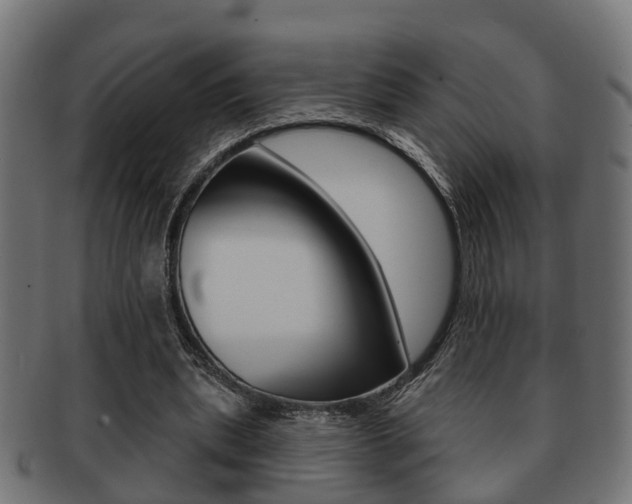 X0000091950439200709061043