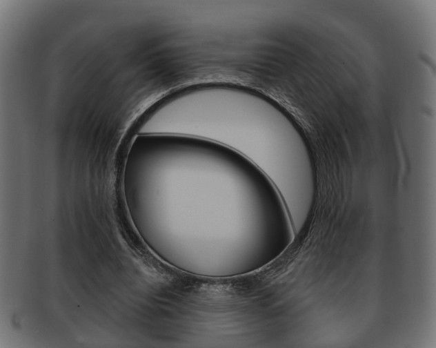 X0000091950440200709061043