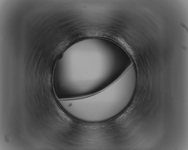 X0000091950441200709061043
