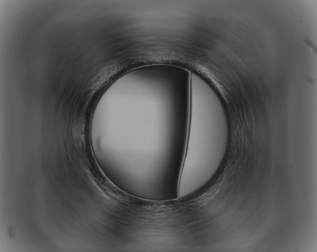 X0000091950443200709061043