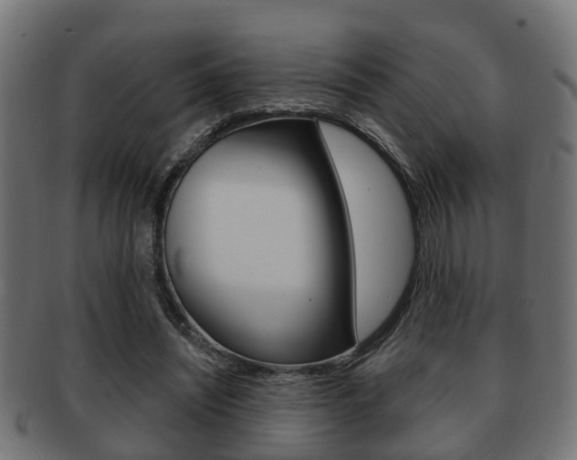 X0000091950444200709061043
