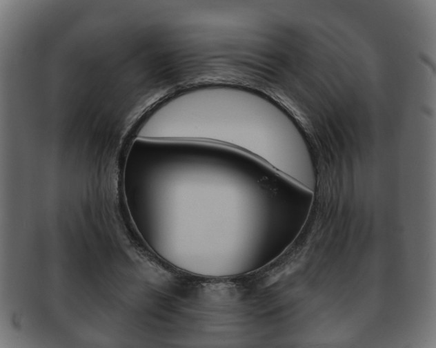 X0000091950446200709061043