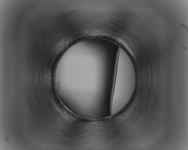 X0000091950447200709061043