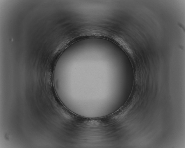 X0000091950449200709061043