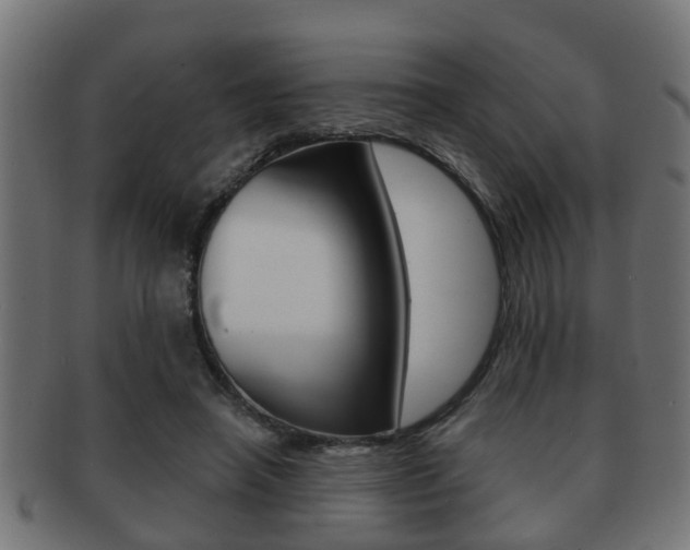 X0000091950450200709061043