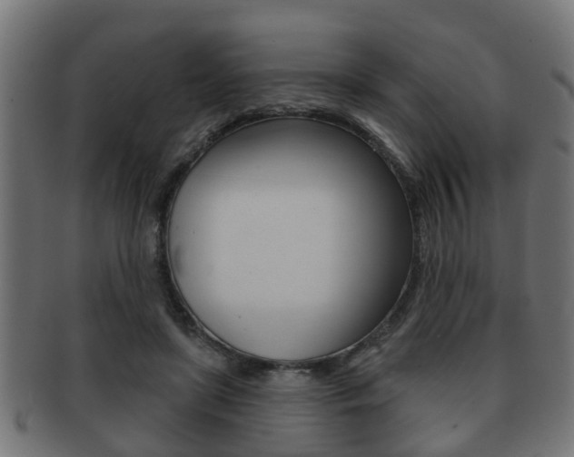 X0000091950451200709061043
