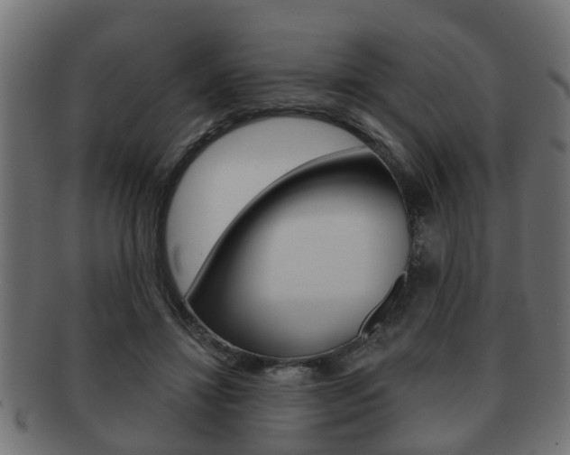 X0000091950452200709061043