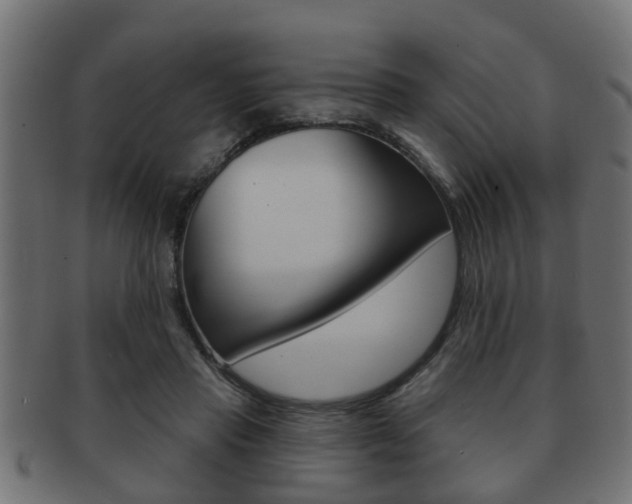 X0000091950453200709061043