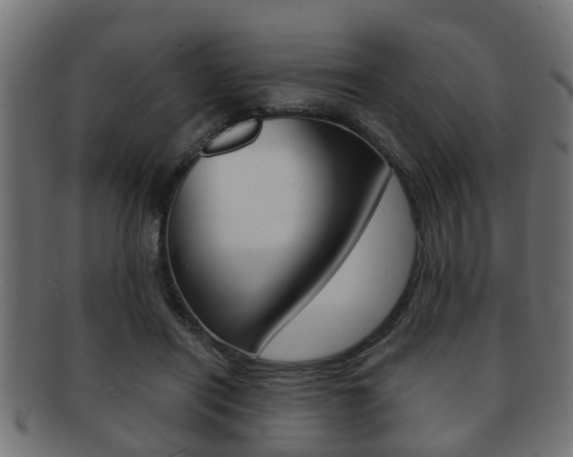 X0000091950454200709061043