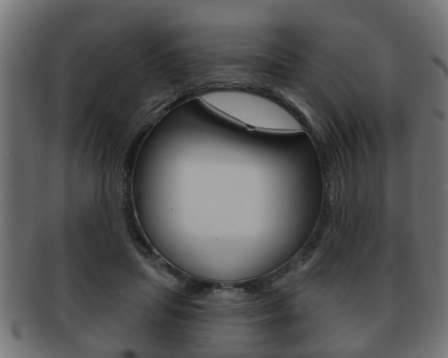 X0000091950455200709061043