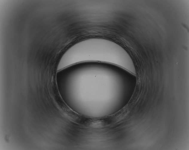 X0000091950456200709061043