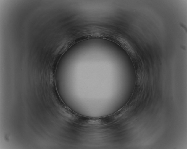X0000091950457200709061043