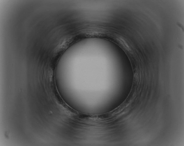 X0000091950458200709061043