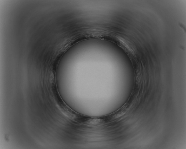 X0000091950459200709061043