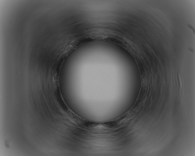 X0000091950460200709061043