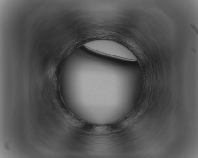 X0000091950461200709061043