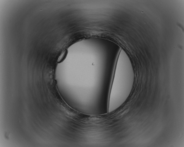 X0000091950462200709061043