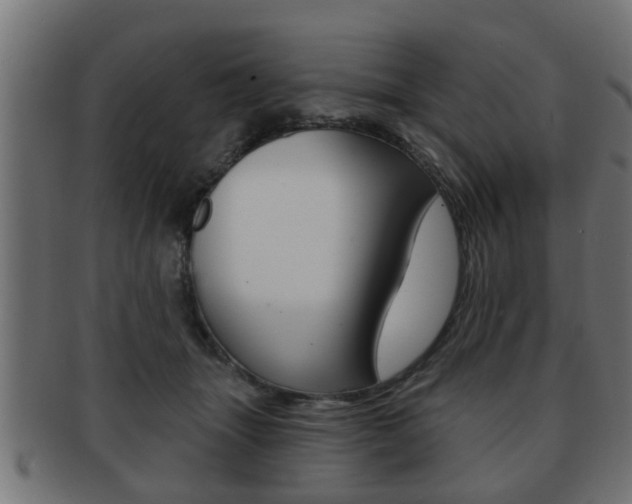 X0000091950463200709061043