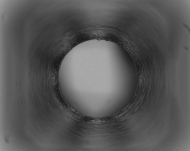 X0000091950464200709061043