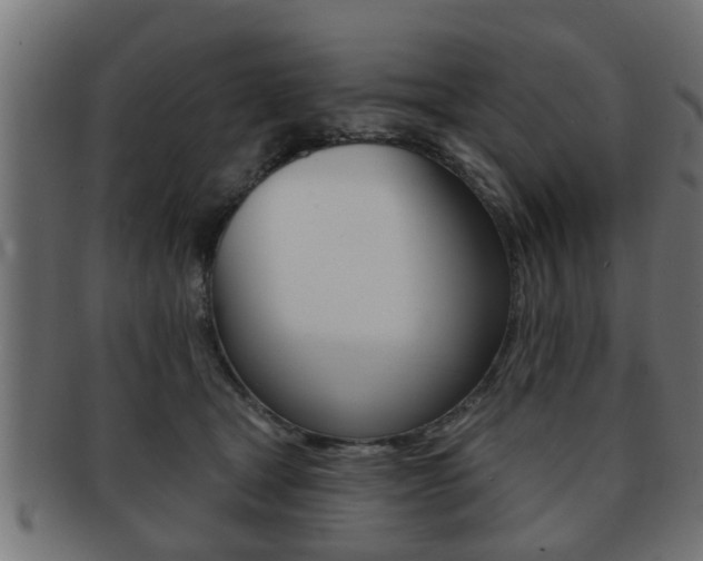 X0000091950465200709061043