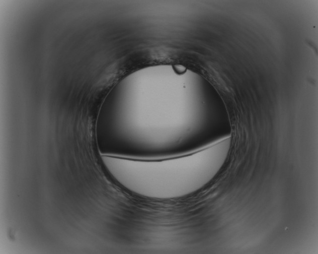 X0000091950466200709061043