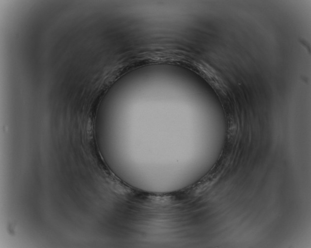 X0000091950469200709061043
