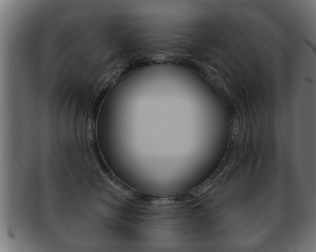 X0000091950470200709061043