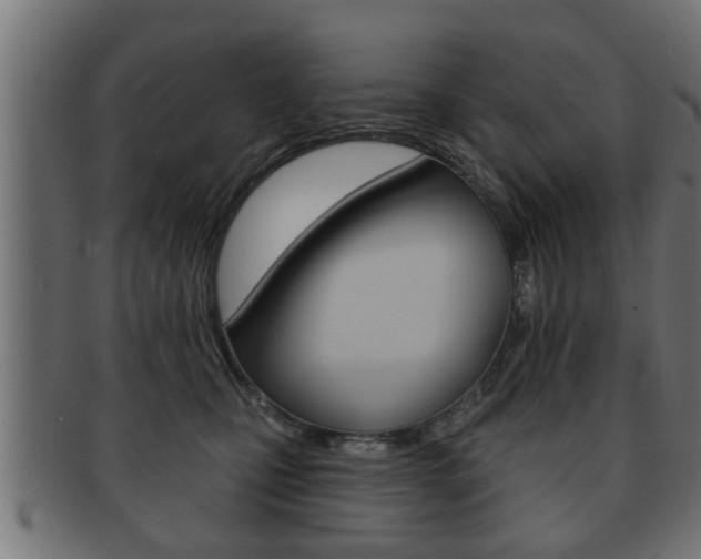 X0000091950471200709061043