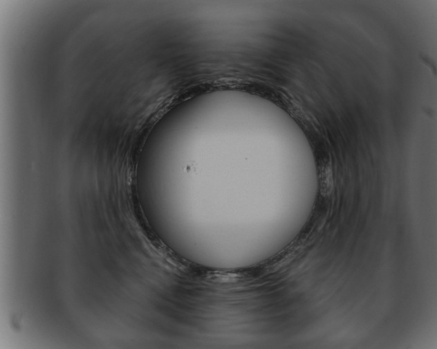 X0000091950472200709061043