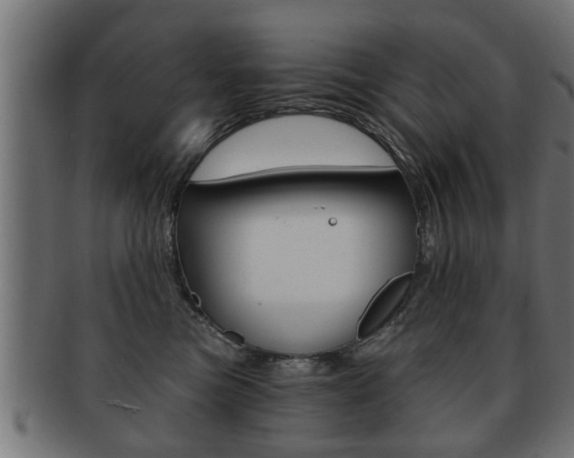 X0000091950473200709061043