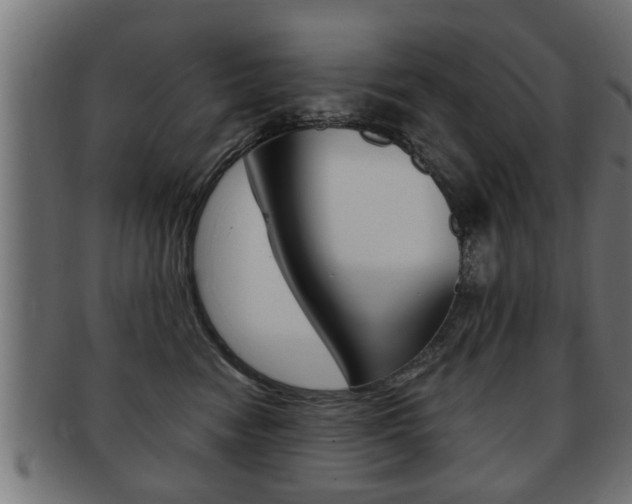 X0000091950474200709061043