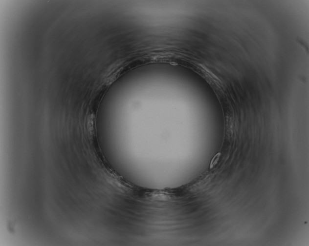 X0000091950475200709061043
