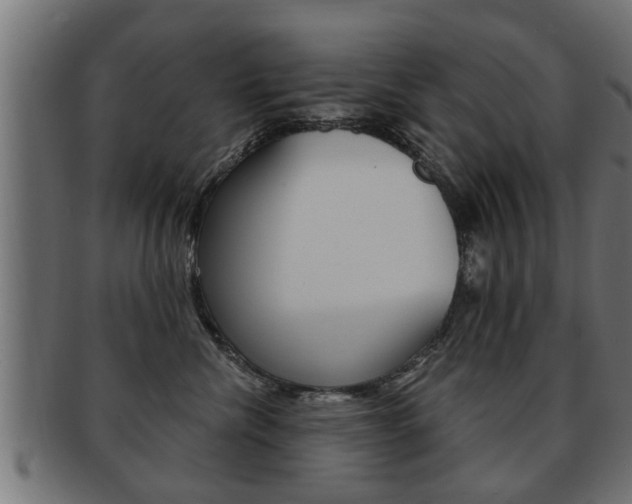 X0000091950476200709061043