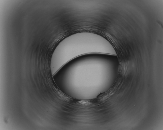 X0000091950477200709061043