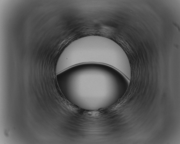 X0000091950478200709061043