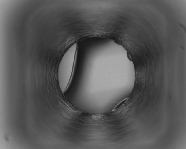 X0000091950479200709061043
