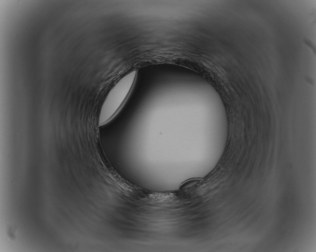 X0000091950480200709061043