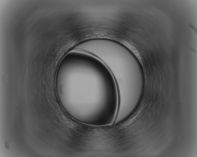 X0000091950481200709061043