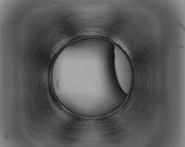 X0000091950482200709061043