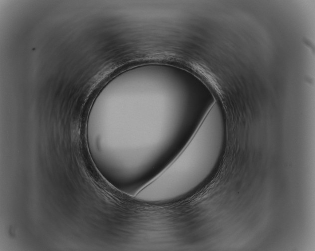 X0000091950483200709061043