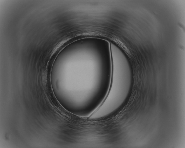 X0000091950484200709061043