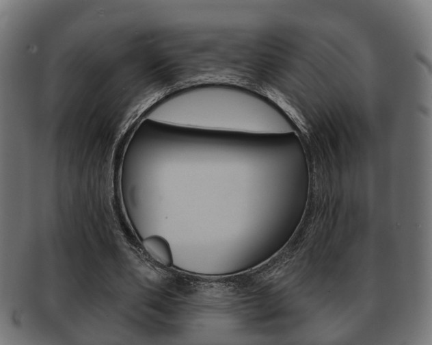 X0000091950486200709061043