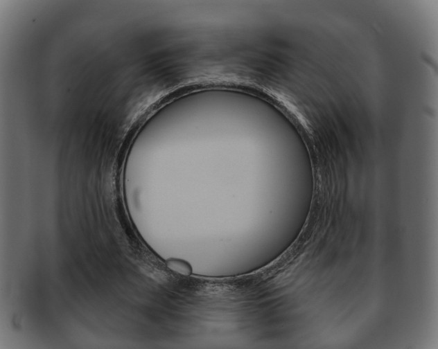 X0000091950487200709061043