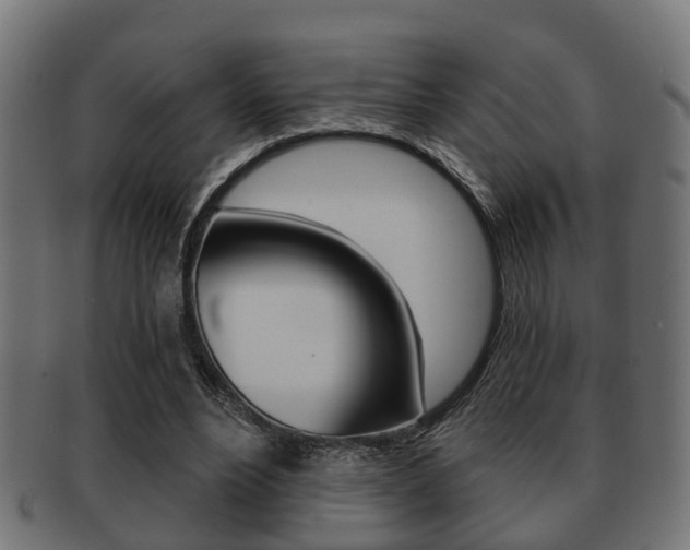 X0000091950488200709061043