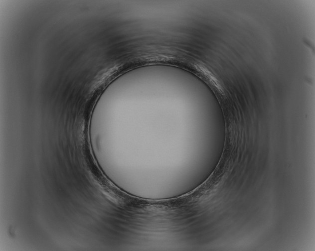 X0000091950490200709061043