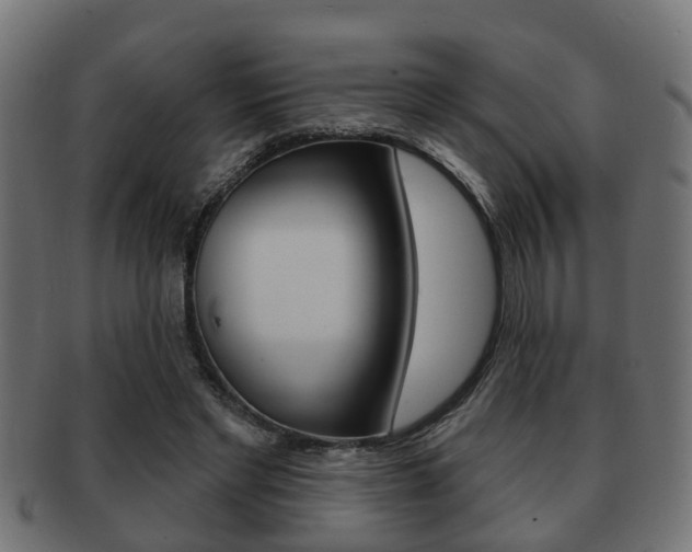 X0000091950493200709061043